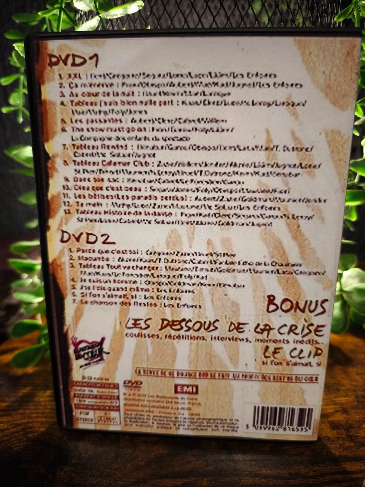 2010 les enfoirés.. La crise de nerfs – photo 2